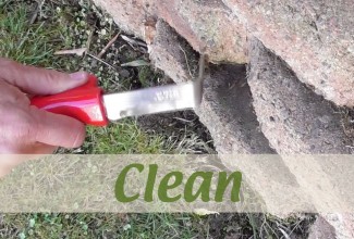 Clearing Moss